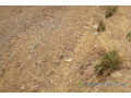 terrain-de-18-hectares-vers-ronkh-small-0