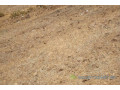 terrain-de-18-hectares-vers-ronkh-small-1