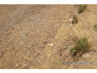 Terrain de 18 hectares vers Ronkh