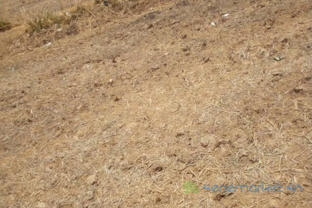 terrain-de-18-hectares-vers-ronkh-big-1