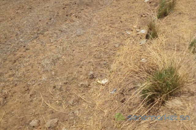 terrain-de-18-hectares-vers-ronkh-big-2