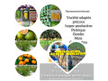 installation-de-reseau-irrigation-pompe-immergee-irrigation-champ-small-1
