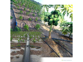 Installation de réseau irrigation : pompe immergée, irrigation Champ