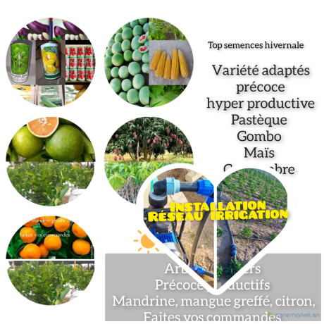 installation-de-reseau-irrigation-pompe-immergee-irrigation-champ-big-1
