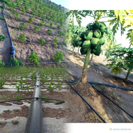 installation-de-reseau-irrigation-pompe-immergee-irrigation-champ-big-0