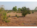 terrain-de-2-hectares-vers-koussanar-small-0