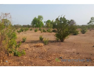 Terrain de 2 hectares vers Koussanar