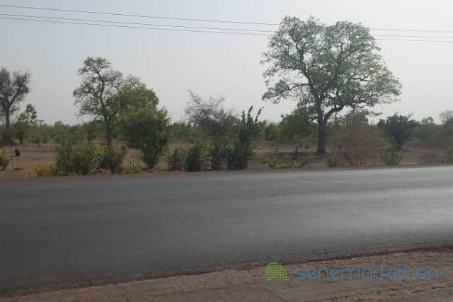 terrain-de-2-hectares-vers-koussanar-big-1