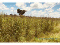terrain-agricole-de-2-hectares-vers-ngueniene-small-1