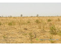 terrain-agricole-de-2-hectares-vers-ngueniene-small-2