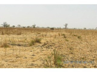 Terrain agricole. de 2 hectares vers Nguéniène