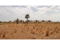terrains-de-280-metres-carres-a-vendre-a-saly-senegal-small-1