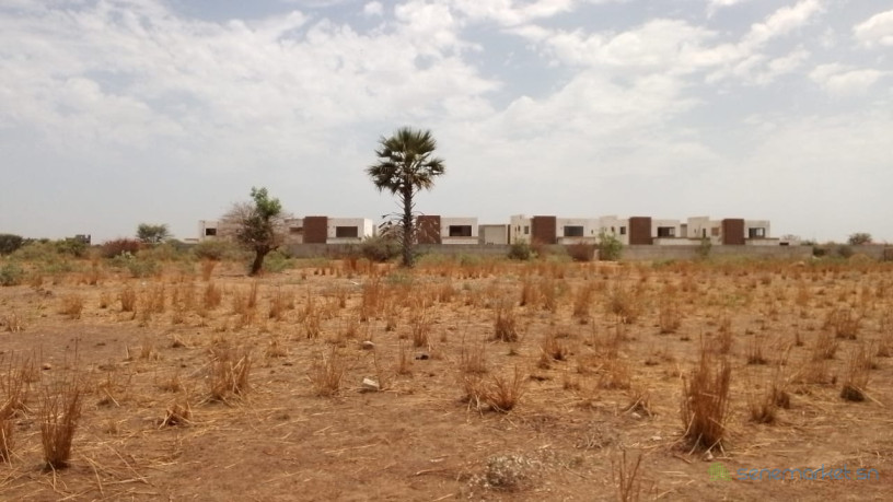 terrains-de-280-metres-carres-a-vendre-a-saly-senegal-big-1