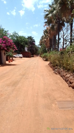 terrains-de-280-metres-carres-a-vendre-a-saly-senegal-big-4