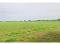 terrain-agricole-de-2-hectares-vers-tassette-small-2