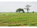 terrain-agricole-de-2-hectares-vers-tassette-small-0