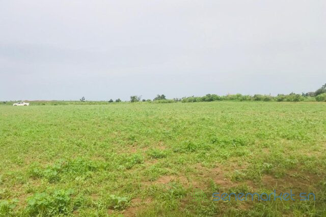 terrain-agricole-de-2-hectares-vers-tassette-big-2