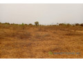 terrain-de-2-hectares-vers-thienaba-small-2