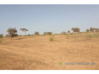 Terrain de 2 hectares vers Thiénaba