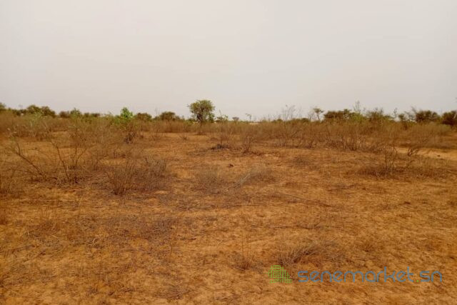terrain-de-2-hectares-vers-thienaba-big-2
