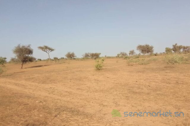 terrain-de-2-hectares-vers-thienaba-big-0