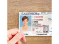 idpassportlicensevisavehicle-registrationdiplomacertificateieltstoefl-small-1