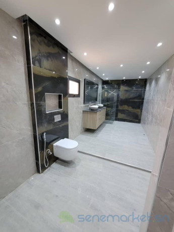 appartements-f4-et-f5-aux-mamelles-big-3