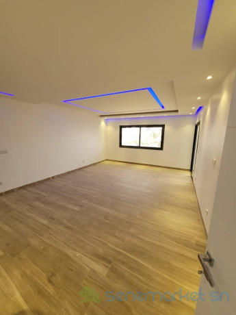 appartements-f4-et-f5-aux-mamelles-big-1