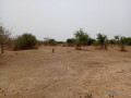terrain-de-9815-m2-vers-notto-diobass-small-1