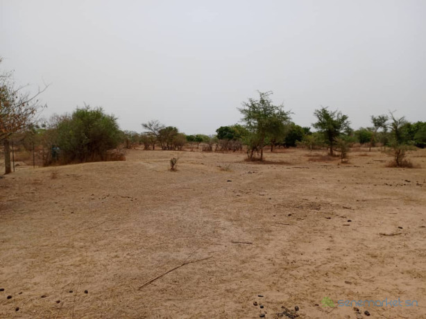 terrain-de-9815-m2-vers-notto-diobass-big-1