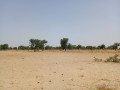 terrain-de-105-hectare-vers-tassette-small-2