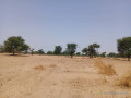 terrain-de-105-hectare-vers-tassette-small-1