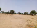 terrain-de-105-hectare-vers-tassette-small-0