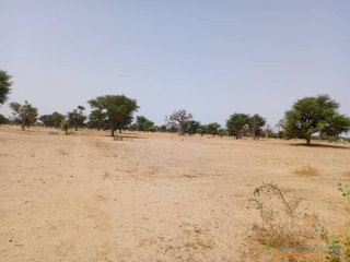 Terrain de 1,05 hectare vers Tassette