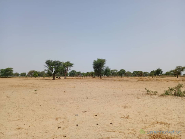 terrain-de-105-hectare-vers-tassette-big-2