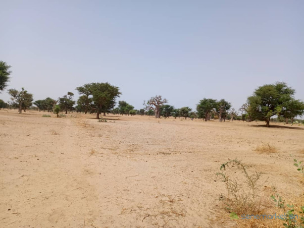 terrain-de-105-hectare-vers-tassette-big-0