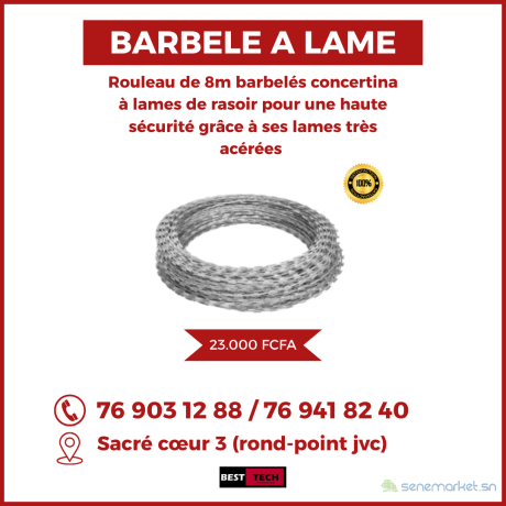 vente-installation-des-barbeles-a-lame-et-a-fil-big-3