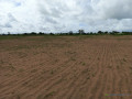 terrain-de-1-hectare-vers-tassette-small-1