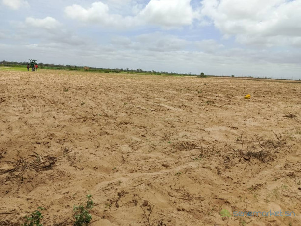 terrain-de-1-hectare-vers-tassette-big-2