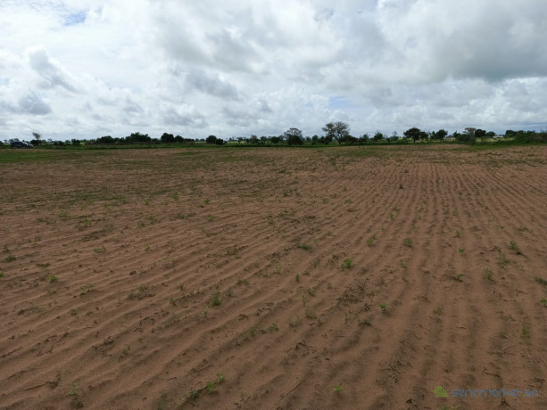 terrain-de-1-hectare-vers-tassette-big-1