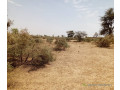 terrain-de-100-hectares-vers-koul-small-0