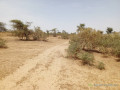 terrain-de-100-hectares-vers-koul-small-1