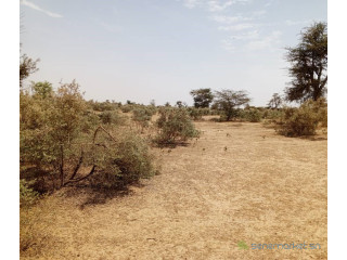Terrain de 100 hectares vers Koul