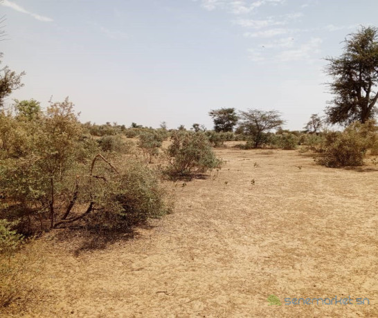 terrain-de-100-hectares-vers-koul-big-0