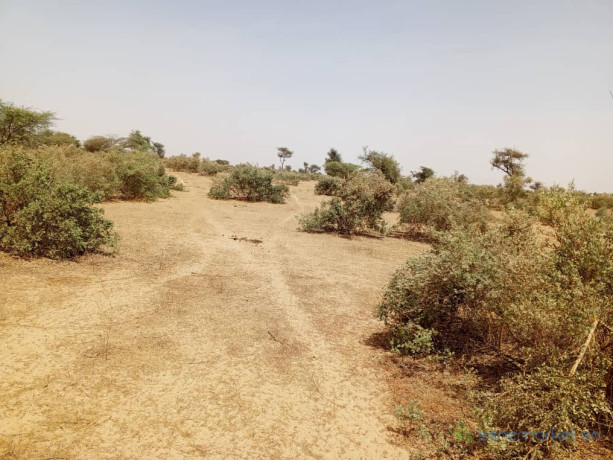 terrain-de-100-hectares-vers-koul-big-2