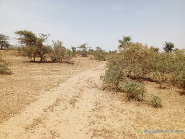 terrain-de-100-hectares-vers-koul-big-1