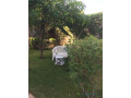 villa-a-louer-a-mbour-senegal-small-4