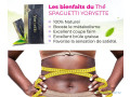 the-minceur-medicinal-bio-small-1