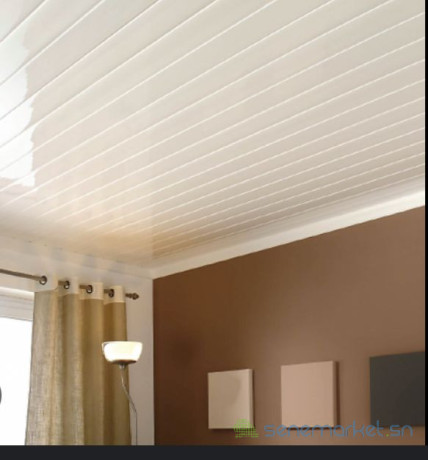 faux-plafond-pvc-da-big-3