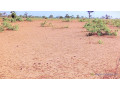 terrain-de-134-hectare-a-ndieyene-sirakh-small-2